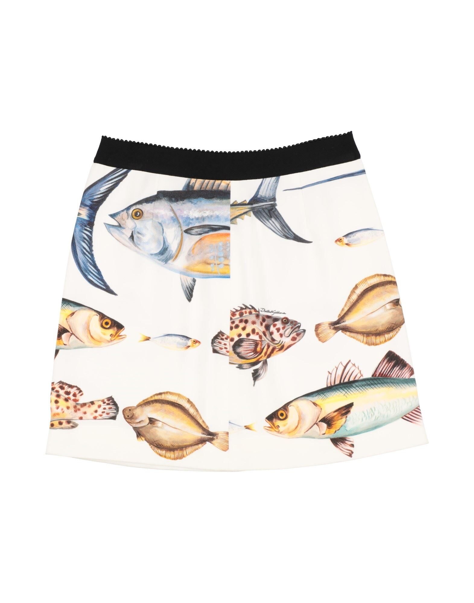 DOLCE&GABBANA - Kids' skirts