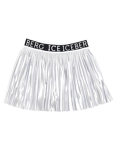 ICE ICEBERG