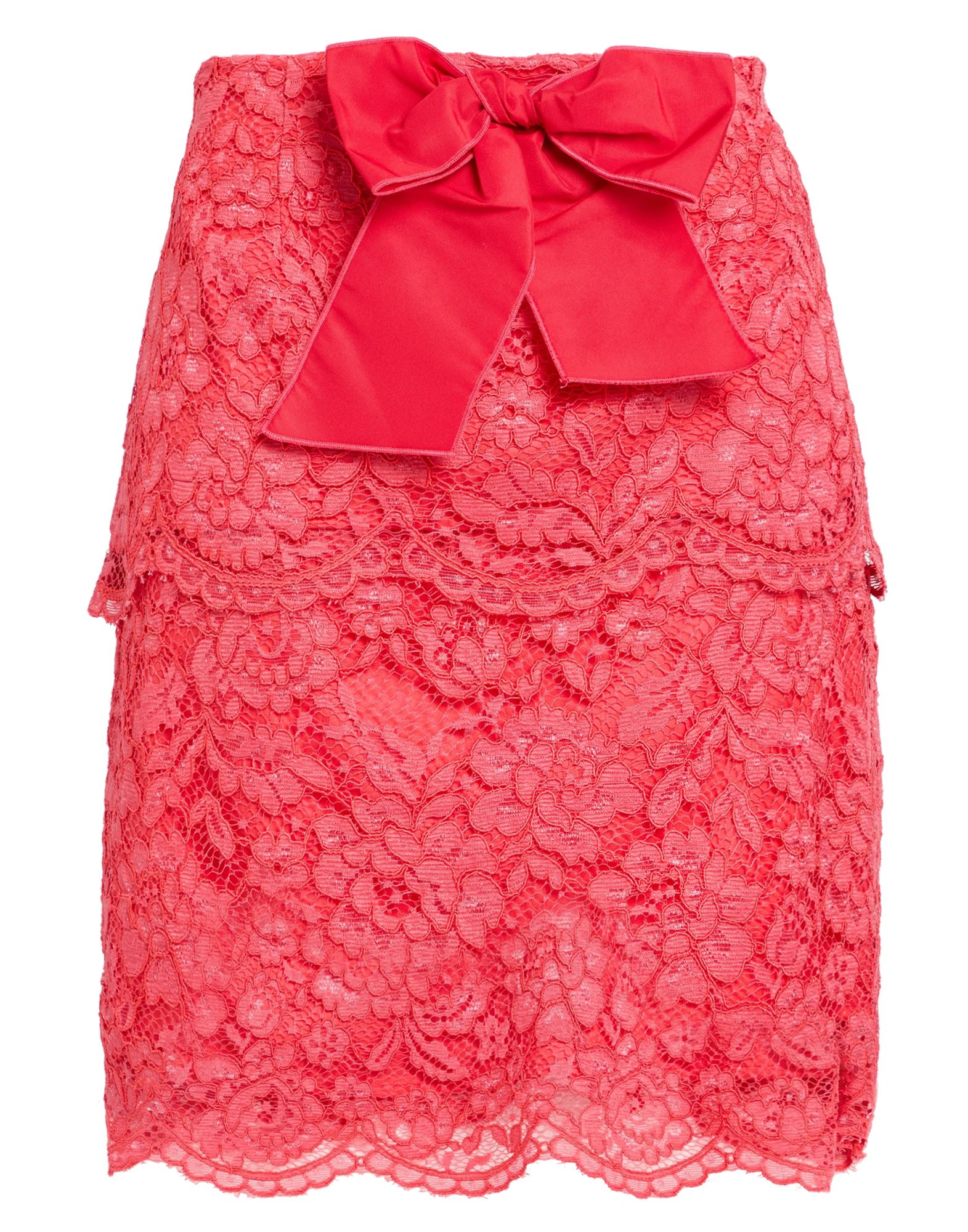 ELISABETTA FRANCHI - Mini skirts