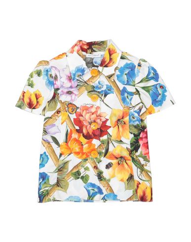 Dolce & Gabbana Toddler Girl Shirt White Size 4 Cotton In White