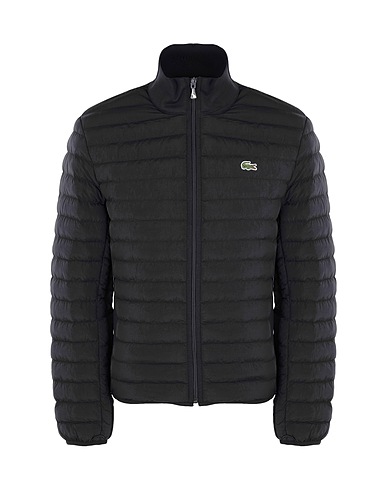 ZOOM LACOSTE - Synthetic padding