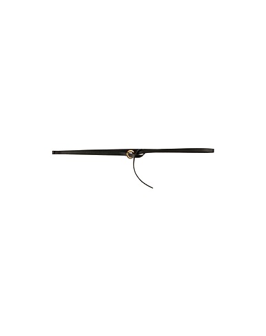 JIL SANDER Thin belt Black Calfskin