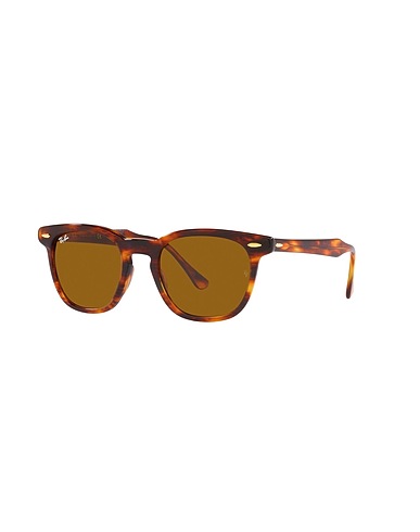 RAY-BAN Sonnenbrille Braun Acetat