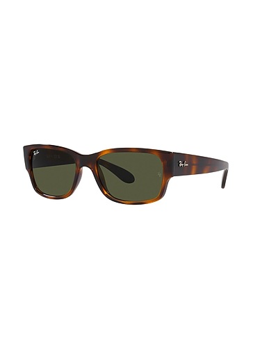 RAY-BAN Sonnenbrille 0RB4388
 Dunkelbraun Acetat