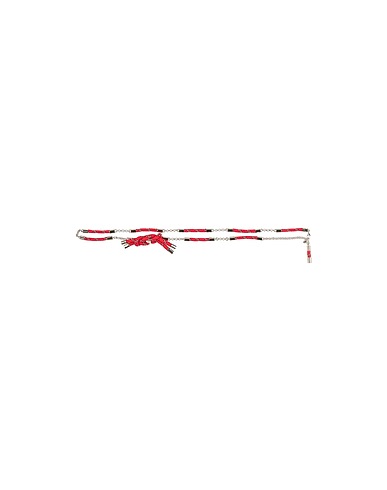 DSQUARED2 Belts Red String, Metal