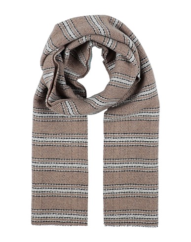 ARTE CASHMERE Sciarpe e foulard Marrone 100% Cachemire