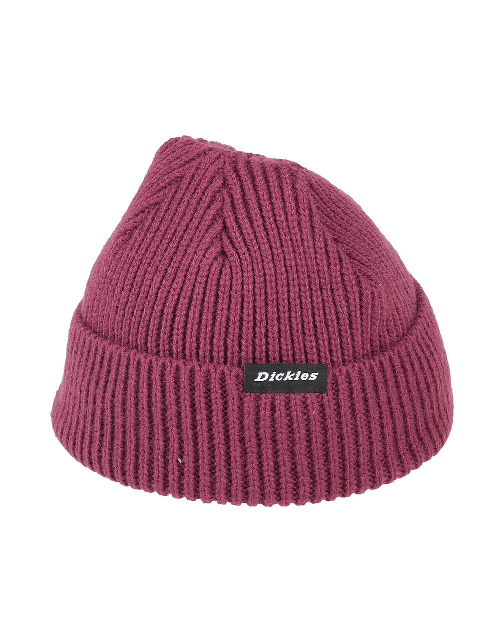 DICKIES - Hats