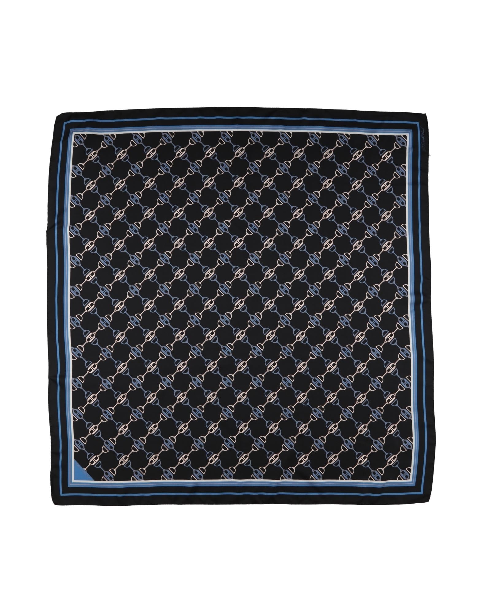 ELISABETTA FRANCHI - Scarves