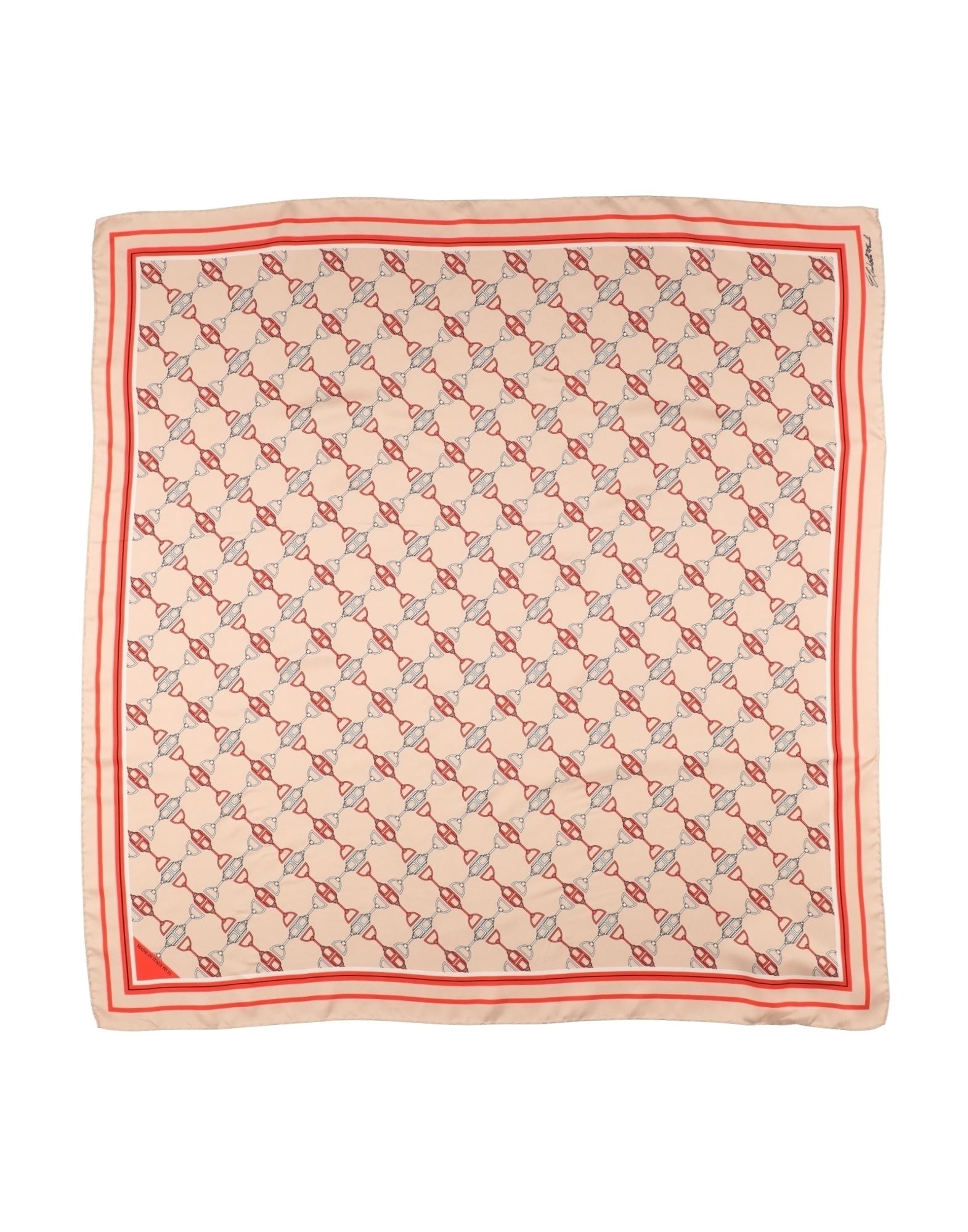 ELISABETTA FRANCHI - Шарфы