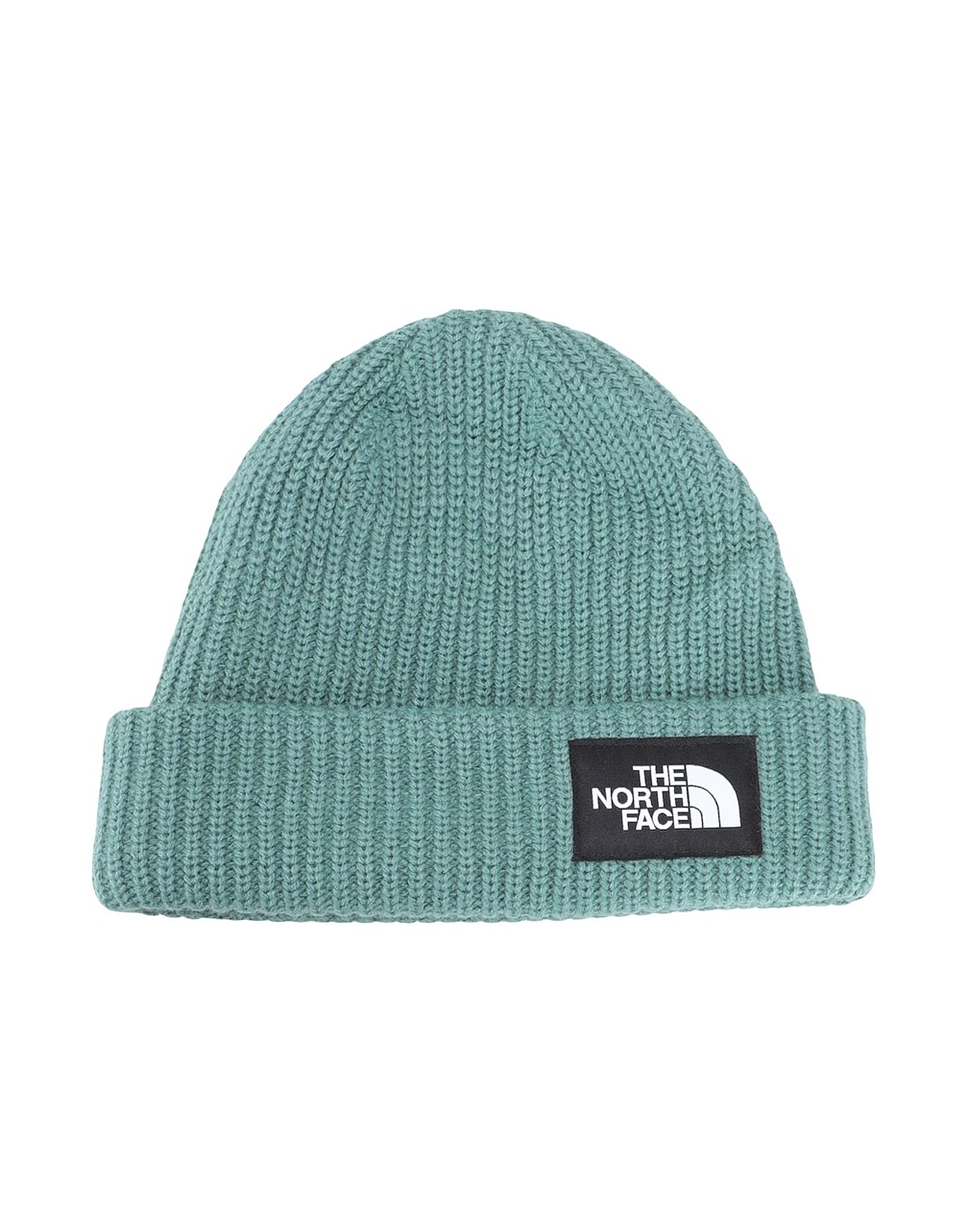 THE NORTH FACE - Hats
