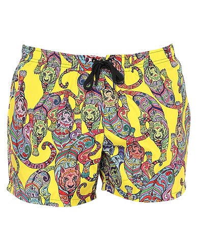 ZOOM CUSTO BARCELONA - Boxer mare