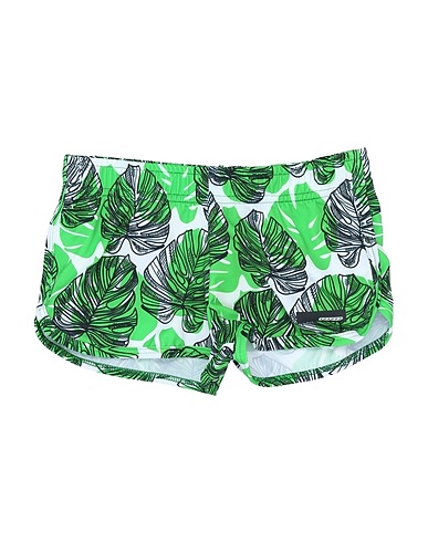 ZOOM RRD - Boxer mare