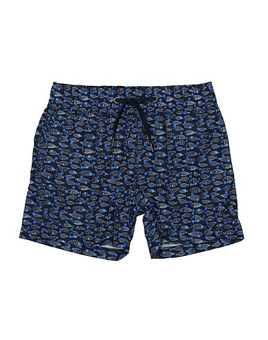 ZOOM RRD - Boxer mare
