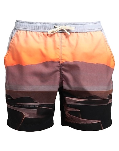 BLUE SKY INN Swim shorts Brown 100% Polyester