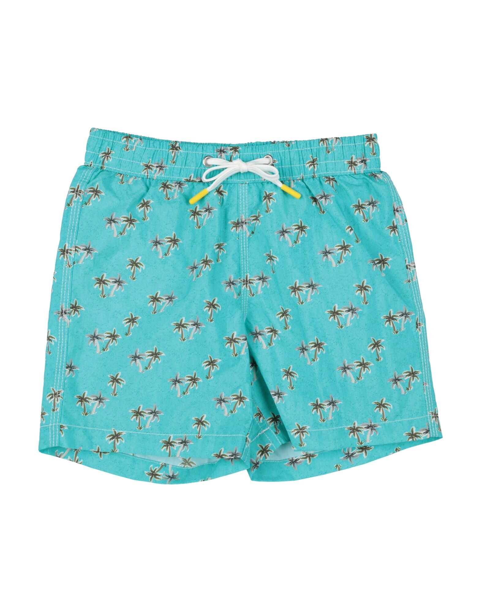 HARTFORD - Boxer da mare