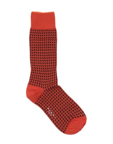 Click to view more detailed imagery on our partner's website Marni Socks & Tights In Orange