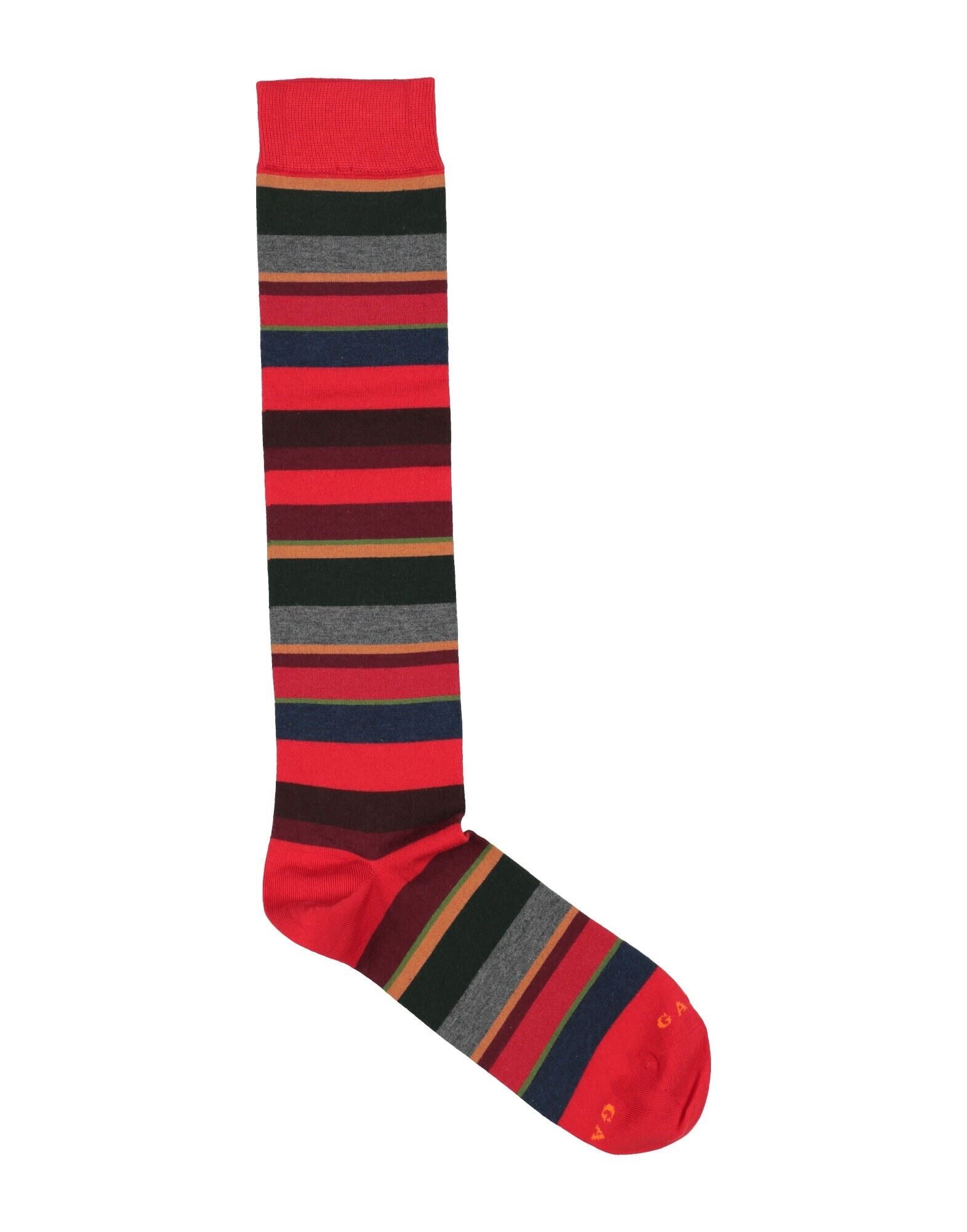 GALLO - Socks & Hosiery