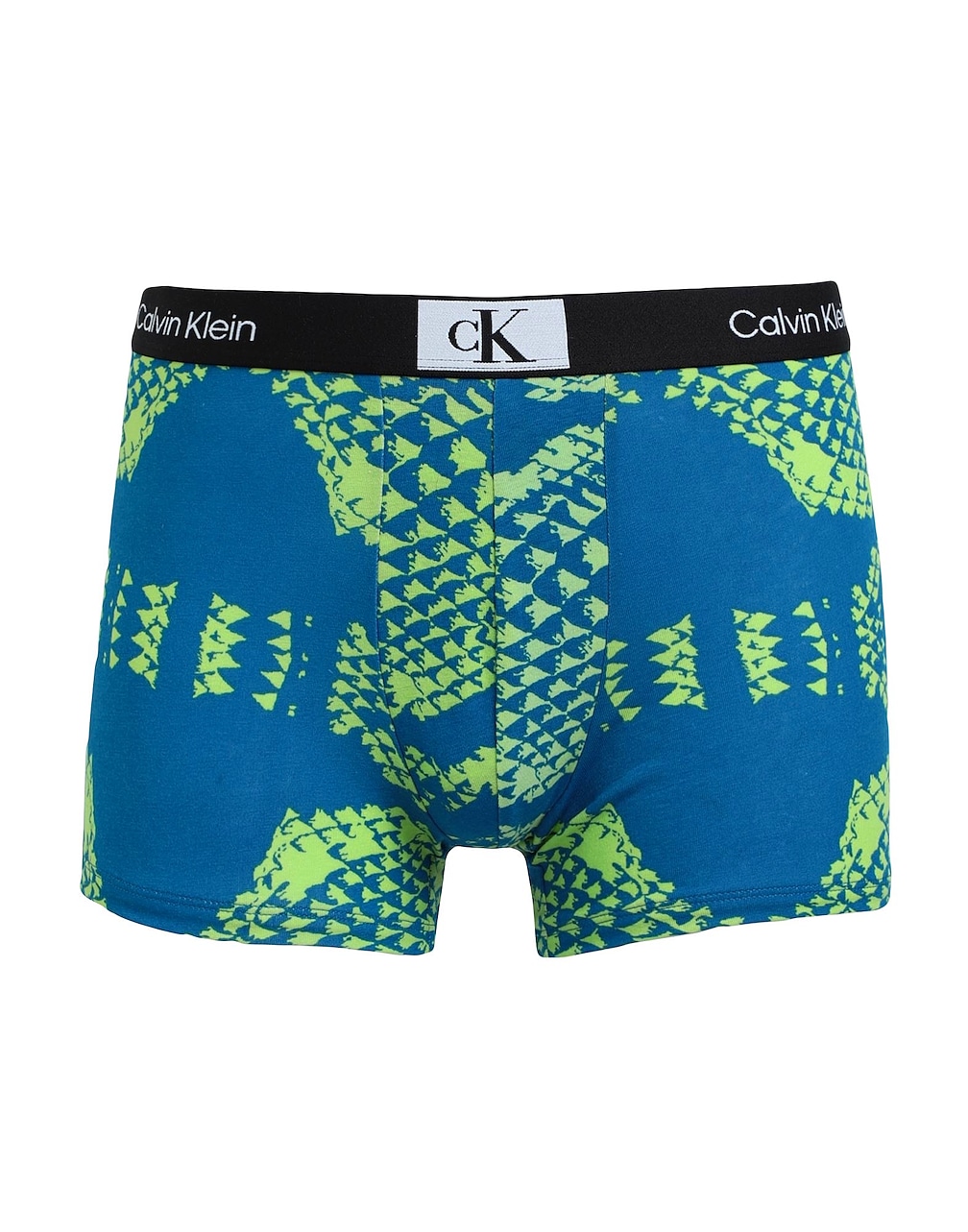 CALVIN KLEIN UNDERWEAR - Caleçons