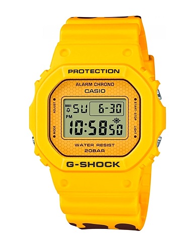 CASIO