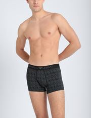 Boxer