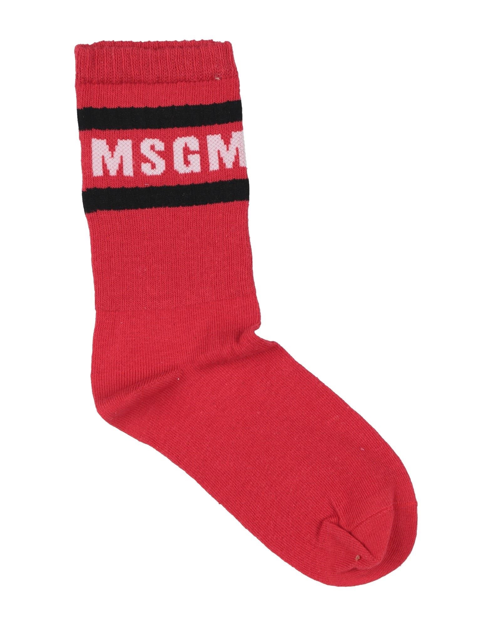 MSGM - Socks & Hosiery