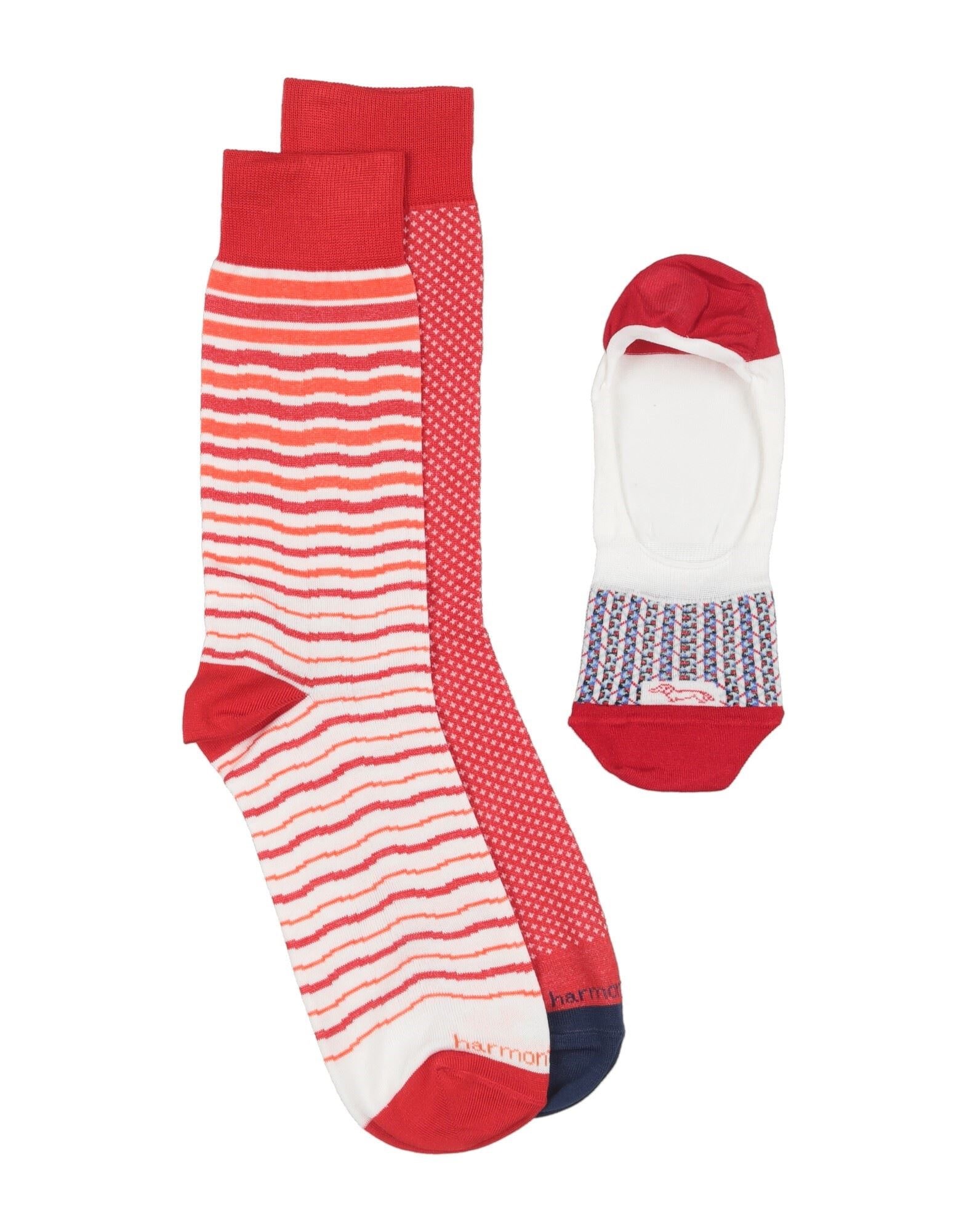 HARMONT & BLAINE - Socks & Hosiery