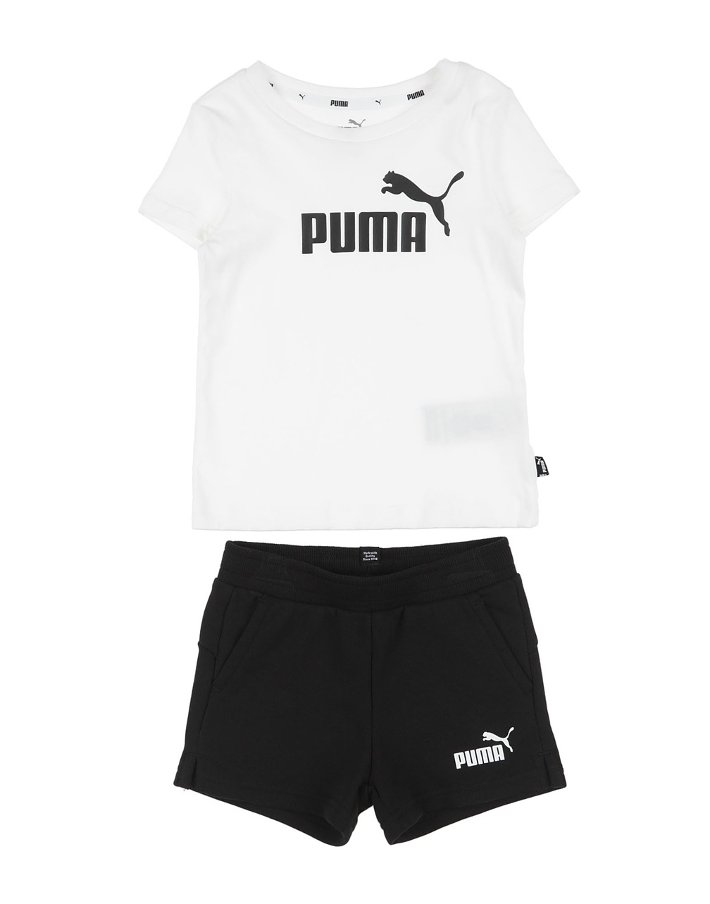 PUMA - Ensembles