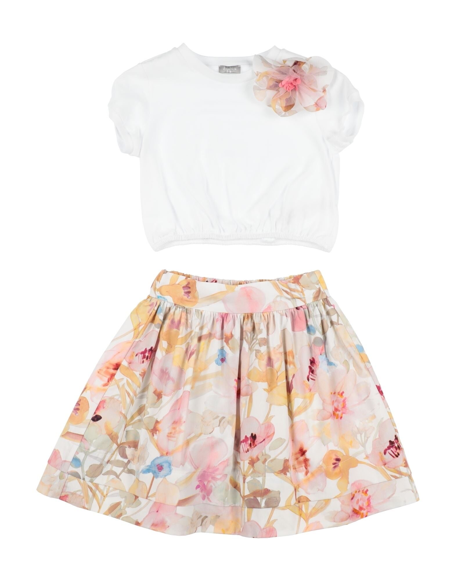 IL GUFO - セットアップ