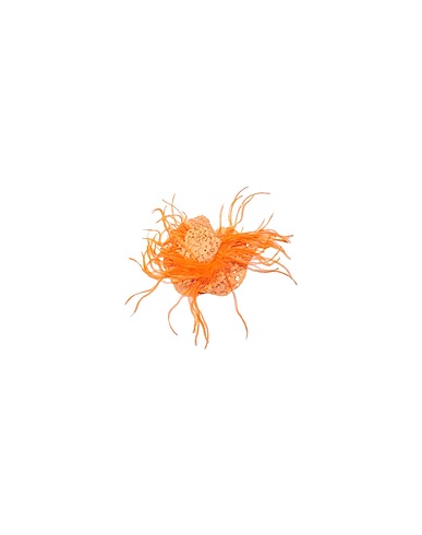 L:Ú L:Ú by MISS GRANT Brooch Orange Textile fibres, Feather