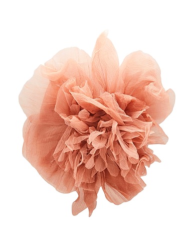 MAX MARA Brooch Blush Silk