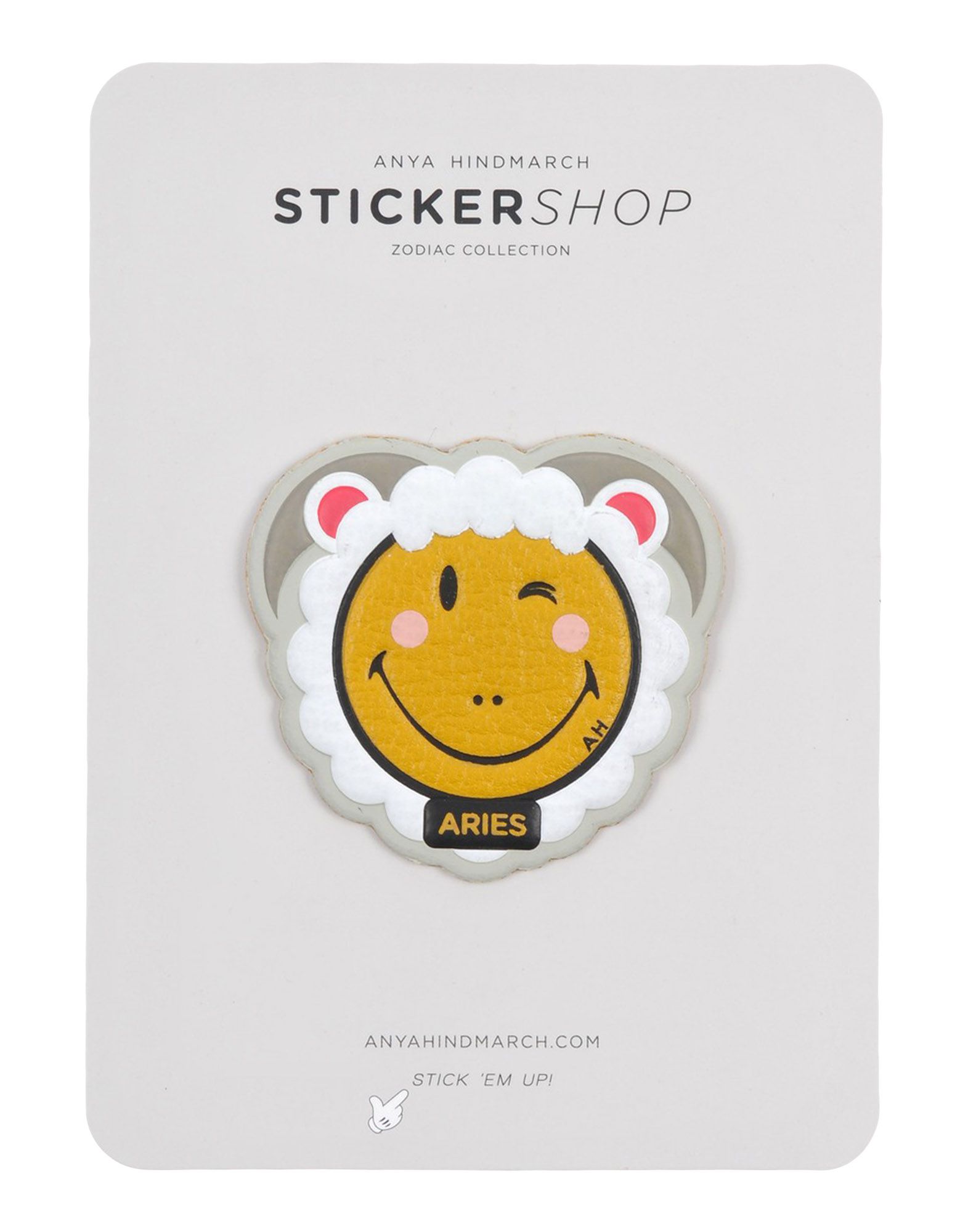 ANYA HINDMARCH - Other accessories