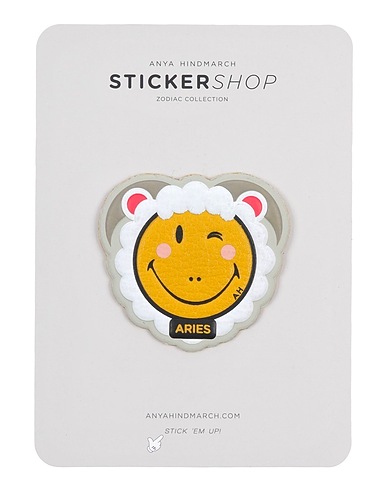 ANYA HINDMARCH Other accessory Yellow Goat skin