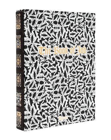 RIZZOLI INTERNATIONAL Libro Arte Studio Job: The Book of Job
 (-) Carta