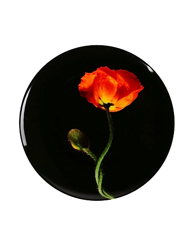 ZOOM LIGNE BLANCHE - Objet d'art