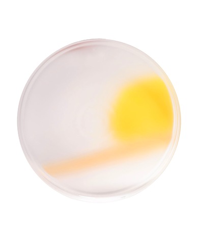 NUDE COLLECTION Dekoteller PIGMENTO Pastellgelb Glas