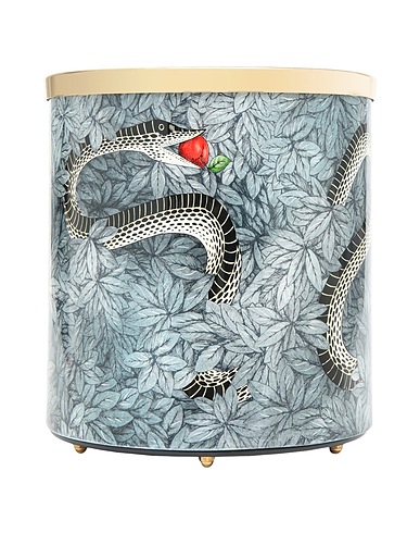ZOOM FORNASETTI - Container