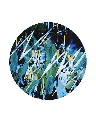 LIGNE BLANCHE Art object Welcome to the Water Planet, Limoges porcelain plate
 Green Porcelain